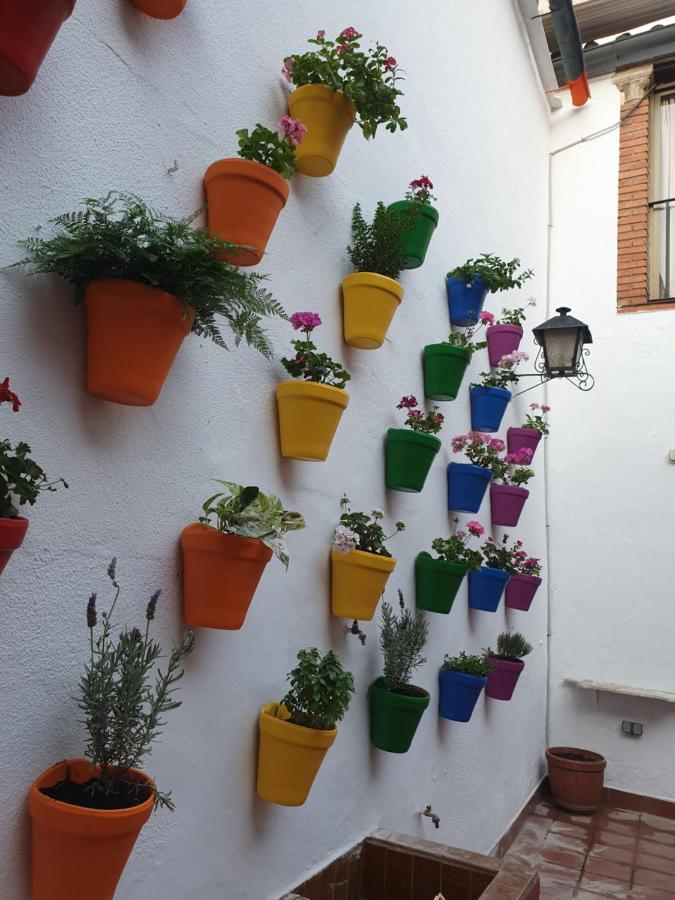 Arc House Cordoba Only Adults Hotel Екстериор снимка